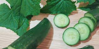 Concombre Green Finger - 25 graines