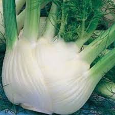 Semence Fenouil de Florence Romanesco Bio - 200 graines