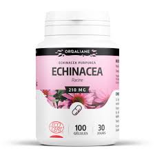 Echinacea Bio - 100 gélules