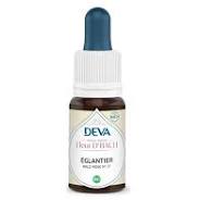 DEVA Eglantier - Elixir Floral de Bach - 15 ml