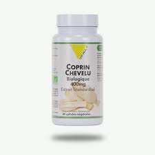 Coprin Chevelu Bio 400 mg - 60 gélules