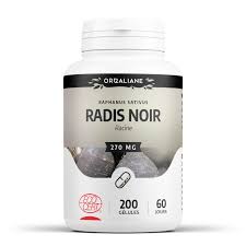 Radis noir Bio 270 mg - 200 gélules