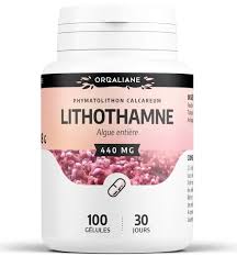 Lithothamne 440 mg - 100 gélules
