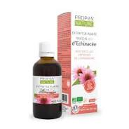 Extrait de plante fraîche d'Echinacée BIO - 50 ml
