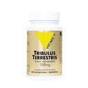 Tribulus Terrestris - 60 capsules