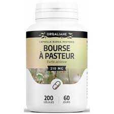 Bourse à Pasteur 210 mg - 200 gélules