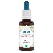 Deva Saule - Elixir Floral de Bach - 15 ml