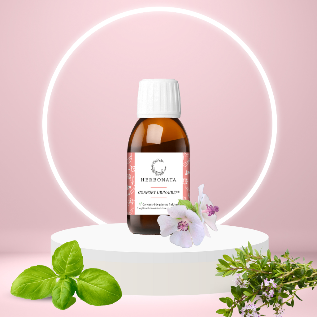 Concentré de plantes Confort urinaire Bio - 100 ml