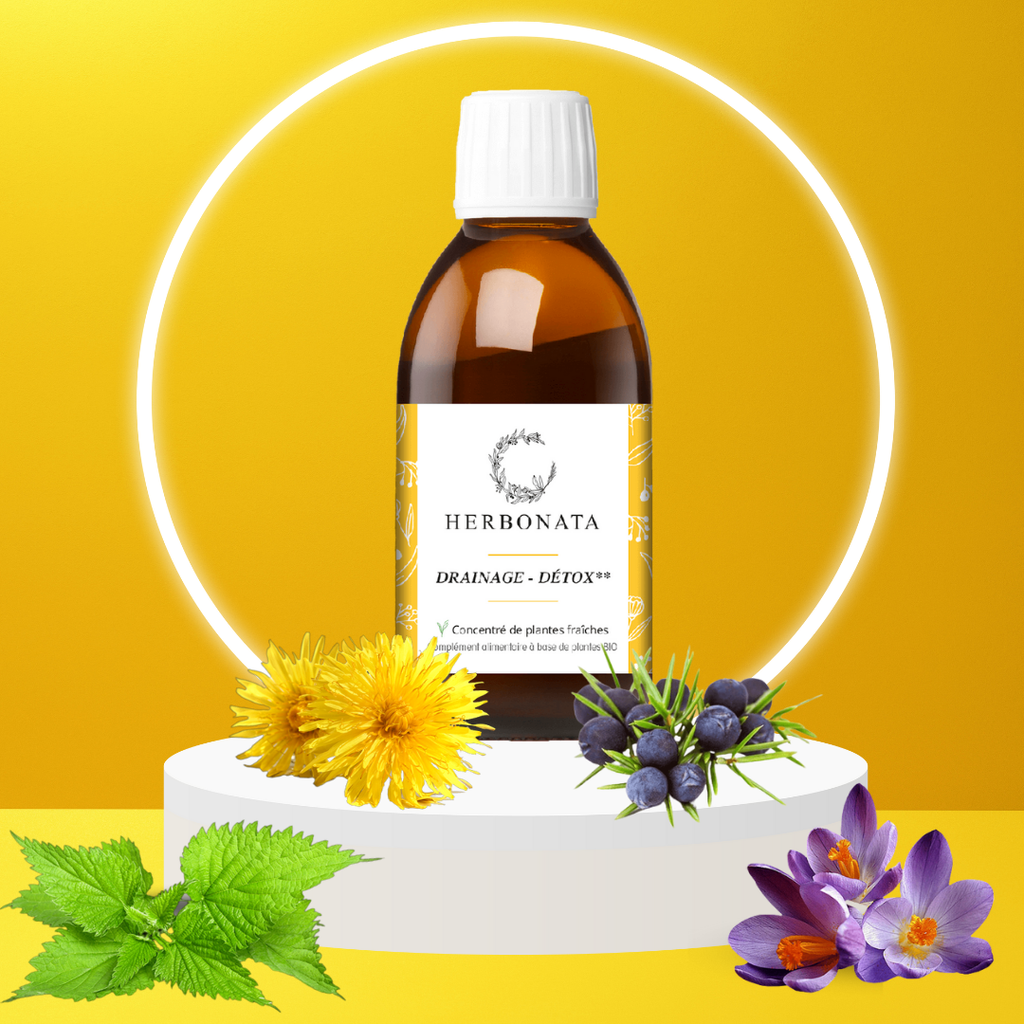 Concentré de plantes Drainage Detox Bio - 200 ml