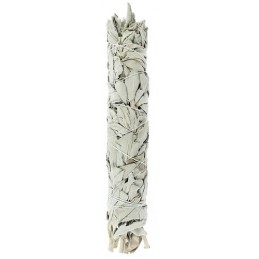 Sauge blanche Fumigation - XL 23 cm