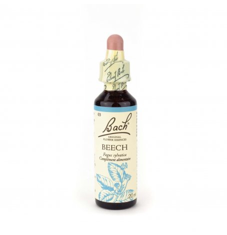 Beech Bach - 20 ml