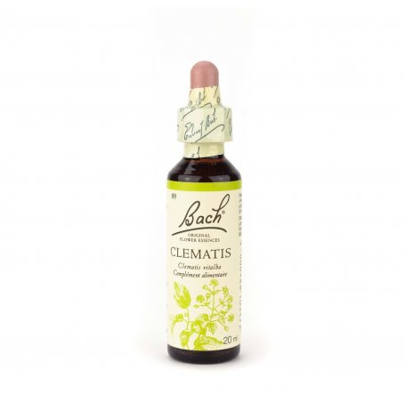Clematis Bach - 20 ml