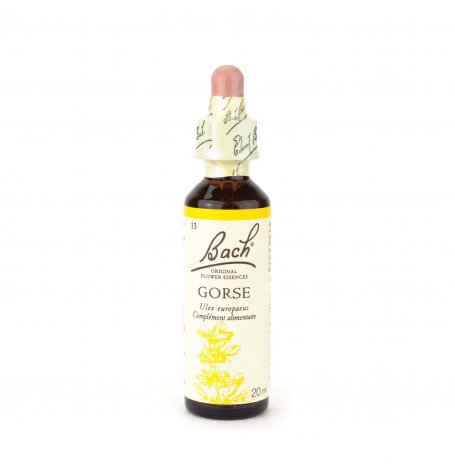 Gorse Bach - 20 ml