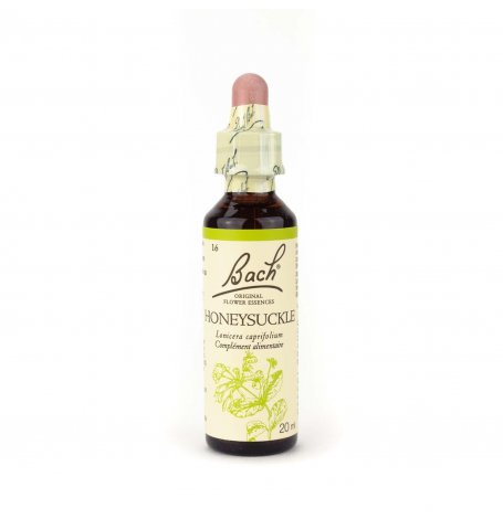 Honeysuckle Bach - 20 ml