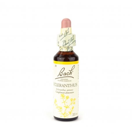 Scleranthus Bach - 20 ml