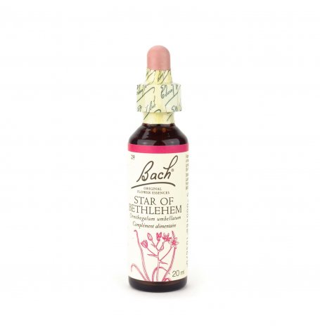 Star of Bethlehem - 20 ml