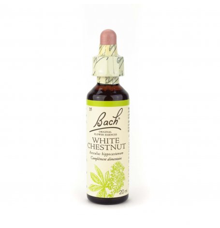 White Chestnut - 20 ml