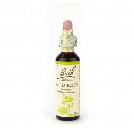 Wild Rose -Bach - 20 ml