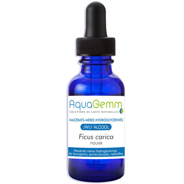 Aquagemm Figuier Bio - 50 ml