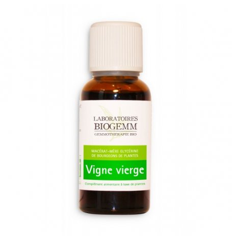 Vigne vierge bourgeon - 30 ml