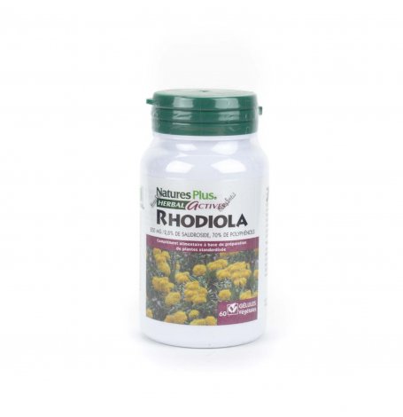 Rhodiola 250 mg - 60 gelules