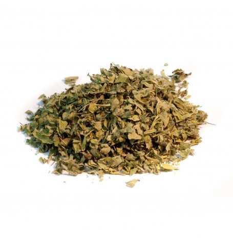 Alchemille - partie aerienne coupée