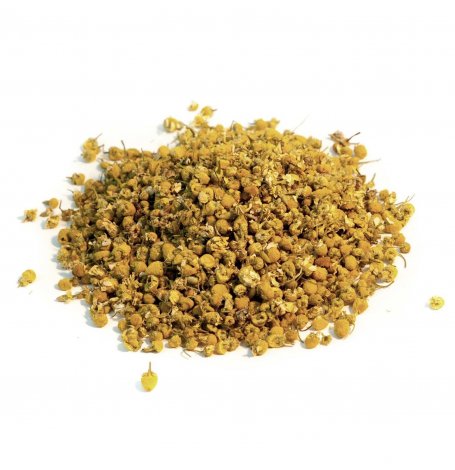 Camomille Matricaire