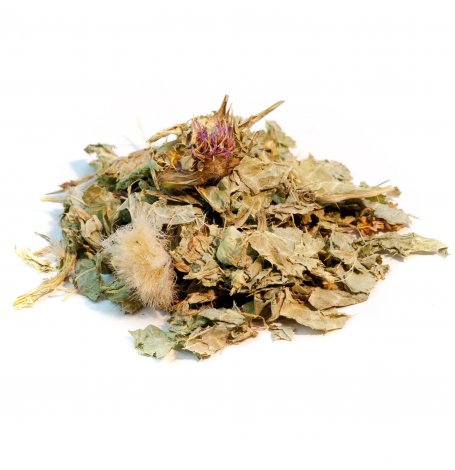 Chardon marie - partie aerienne