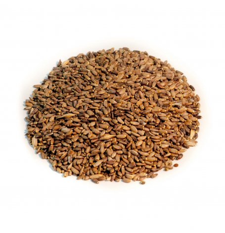 Chardon marie - semence entière