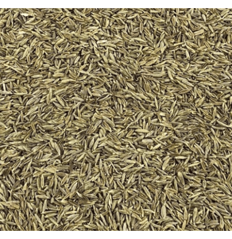 Cumin - graine