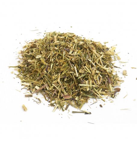 Erysimum velard - partie aerienne