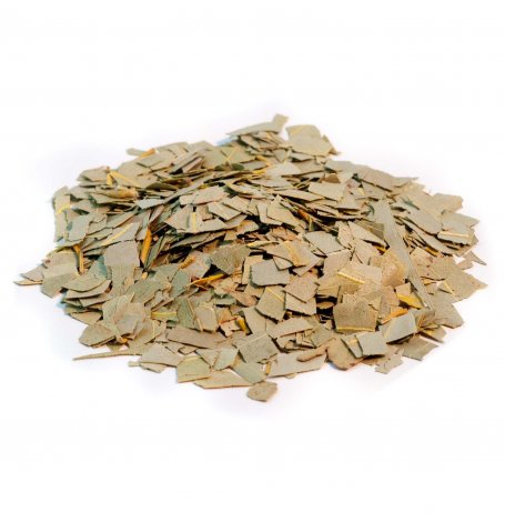 Eucalyptus - feuille entière
