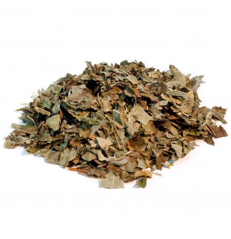 Frene - feuille