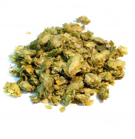 Houblon - cône