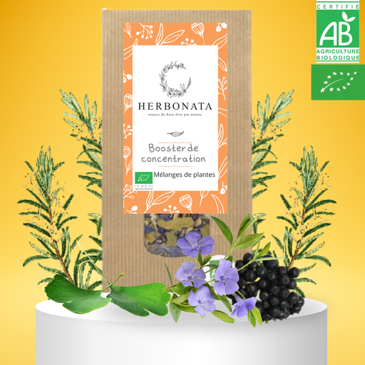 Tisane Booster de concentration