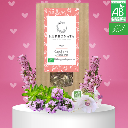 Tisane Confort urinaire
