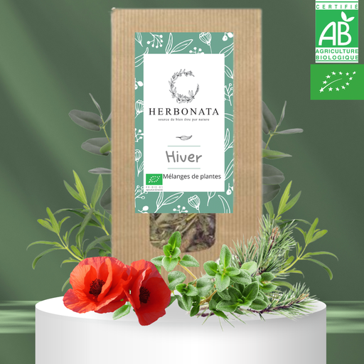 Tisane Hiver