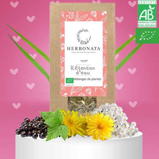 Tisane Retention d'eau