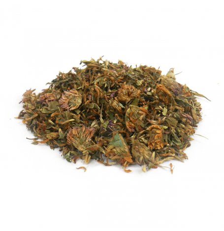 Trefle rouge - fleur