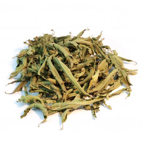 Verveine odorante/citronnée - Grande feuille entière