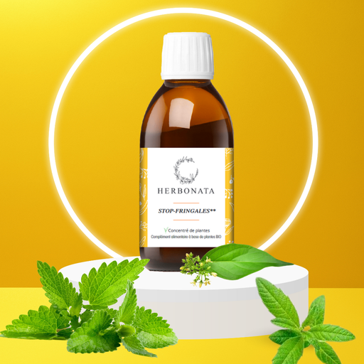 Concentré Stop-Fringales 200 ml