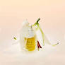 Huile Botanique Française de chanvre - 30 ml