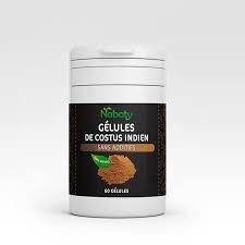 Costus Indien - 60 gélules