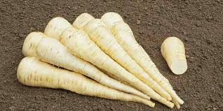 Semence Panais Aromata Bio - 2 grammes