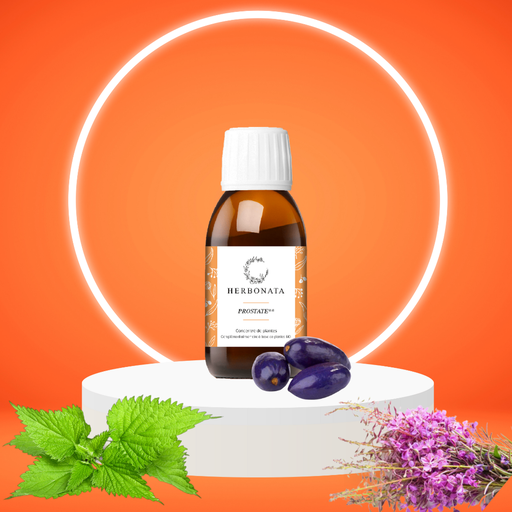 Concentré Prostate
