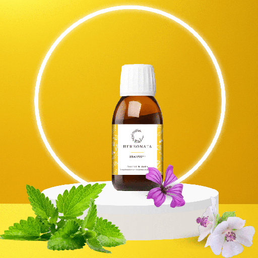 [7466_old] Concentré Transit Bio - 100ml