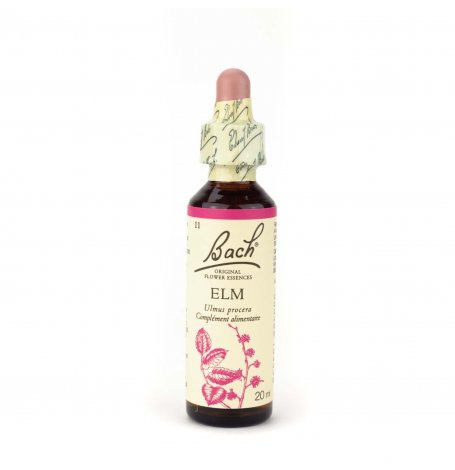 [2543_old] Elm Bach - 20 ml