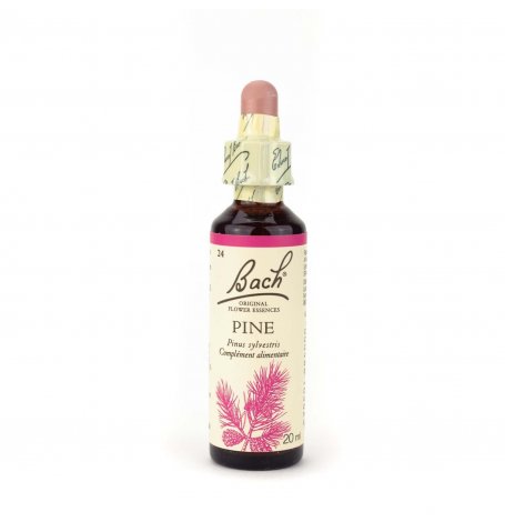 [2556_old] Pine Bach - 20 ml