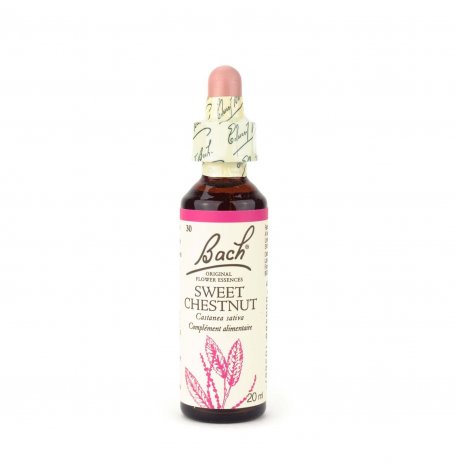 [2562_old] Sweet Chestnut Bach - 20 ml