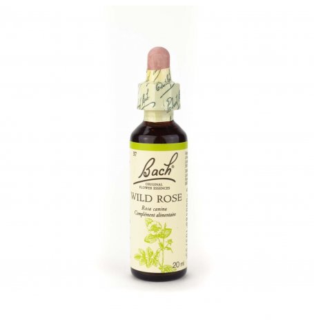 [2569_old] Wild Rose -Bach - 20 ml
